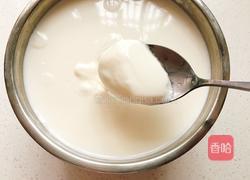 自制酸奶的做法图解6