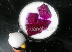 火龙果双皮奶