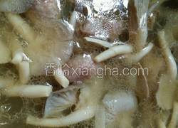 凤尾菇番鸭汤