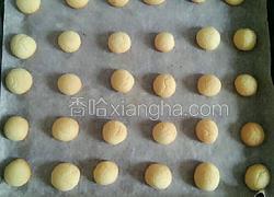椰丝小饼干