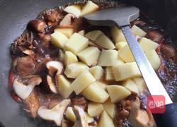 土豆烧鸡的做法图解6