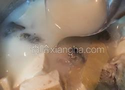 石斑鱼头豆腐汤