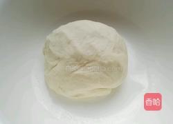 静～牛肉饼（12层 8层 卷饼）的做法图解3