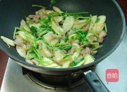 茭白炒肉的做法图解8