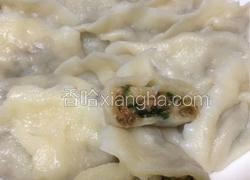 扇贝肉饺子