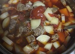 台式紅燒牛腩/牛筋湯