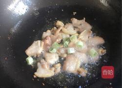 北方菜猪肉白菜粉条子的做法图解3