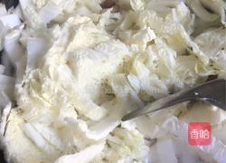 北方菜猪肉白菜粉条子的做法图解4