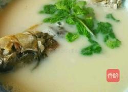 鲫鱼汤的做法图解6