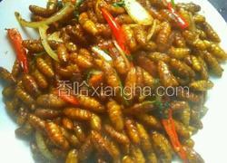 干煸茧蛹