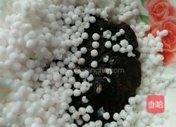 西米糕的做法图解2