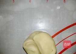 老婆饼的做法图解15