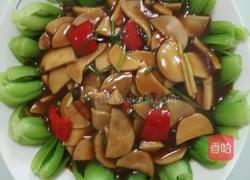 蚝油杏鲍菇的做法图解6