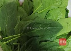 西红柿菠菜面拌面的做法图解1