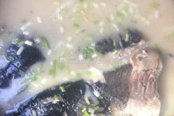 鱼头豆腐汤
