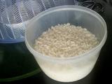 微波炉煮米饭方法的做法[图]