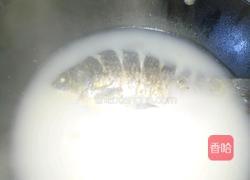 鲫鱼汤的做法图解6