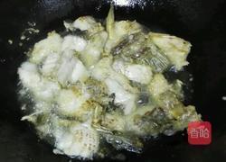 红烧鱼块的做法图解3