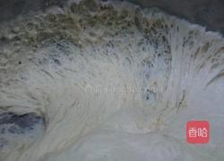 老面包子的做法图解5