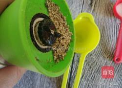 芝麻薄脆饼(无油无糖)的做法图解2