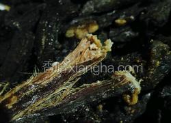 风干牛肉干