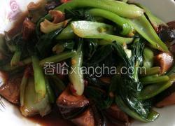 耗油油菜香菇