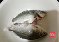 鲫鱼汤的做法图解1