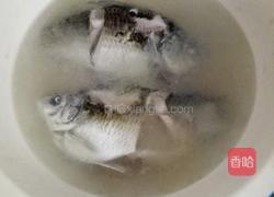 鲫鱼汤的做法图解6