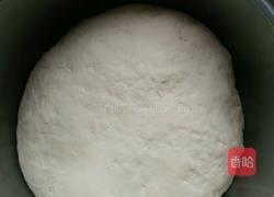 韭菜鸡蛋（香菇芹菜肉）包子的做法图解2