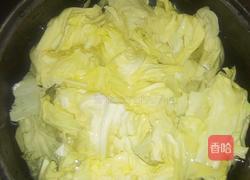 手撕包菜（清淡）的做法图解2