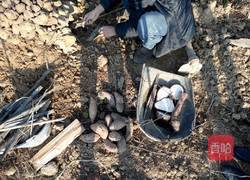 烤地瓜的做法图解3
