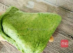 菠菜土司面包的做法图解3