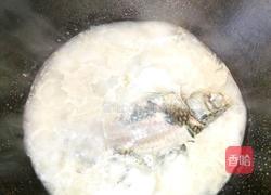 鲫鱼汤的做法图解4