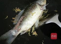 鲫鱼汤的做法图解3