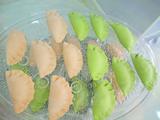 绿色蔬菜饺子