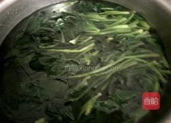 凉拌菠菜的做法图解3