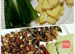 肉皮冻的做法图解4