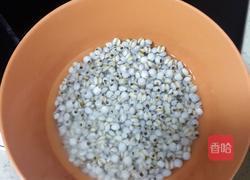 鲫鱼薏米萝卜汤的做法图解2