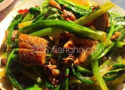 鲮鱼油麦菜