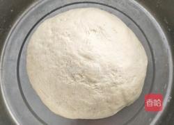 猪肉红萝卜香葱包的做法图解2