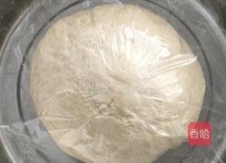 猪肉红萝卜香葱包的做法图解3