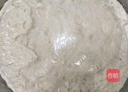 猪肉红萝卜香葱包的做法图解4