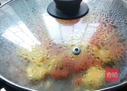 番茄炒鸡蛋（简便版）的做法图解7