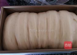 葡萄干土司的做法图解9