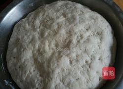 香菜手切猪肉大包的做法图解6