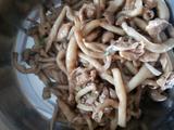 小蘑菇炒肉
