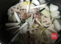 冬瓜莲藕排骨汤的做法图解5