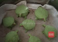 巴西红耳龟的一家的做法图解17