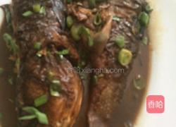 红烧鲈鱼的做法图解9