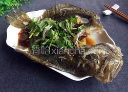 清蒸多宝鱼